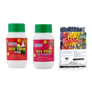 Terra Energy, Terra Action & Terra Blossom Combo